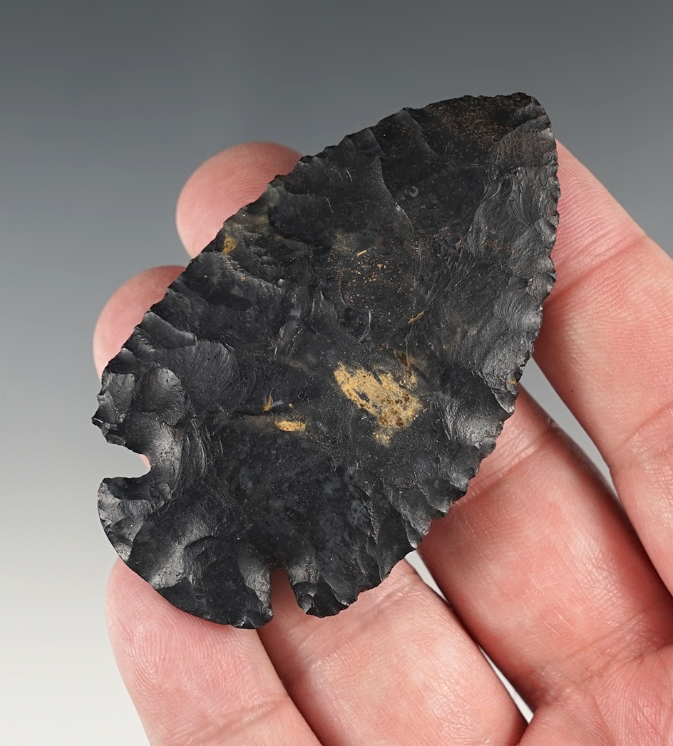 2 3/4" Classic Dovetail - Darke Co., OH. Great example.