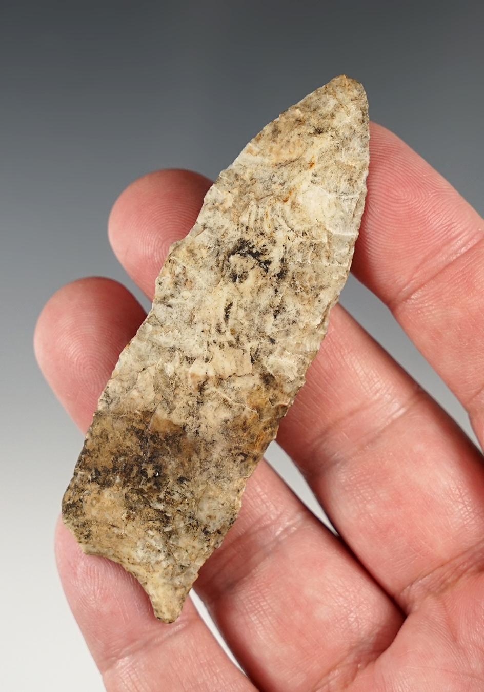 3 3/16" Plainview - Midwest. Butler COA.