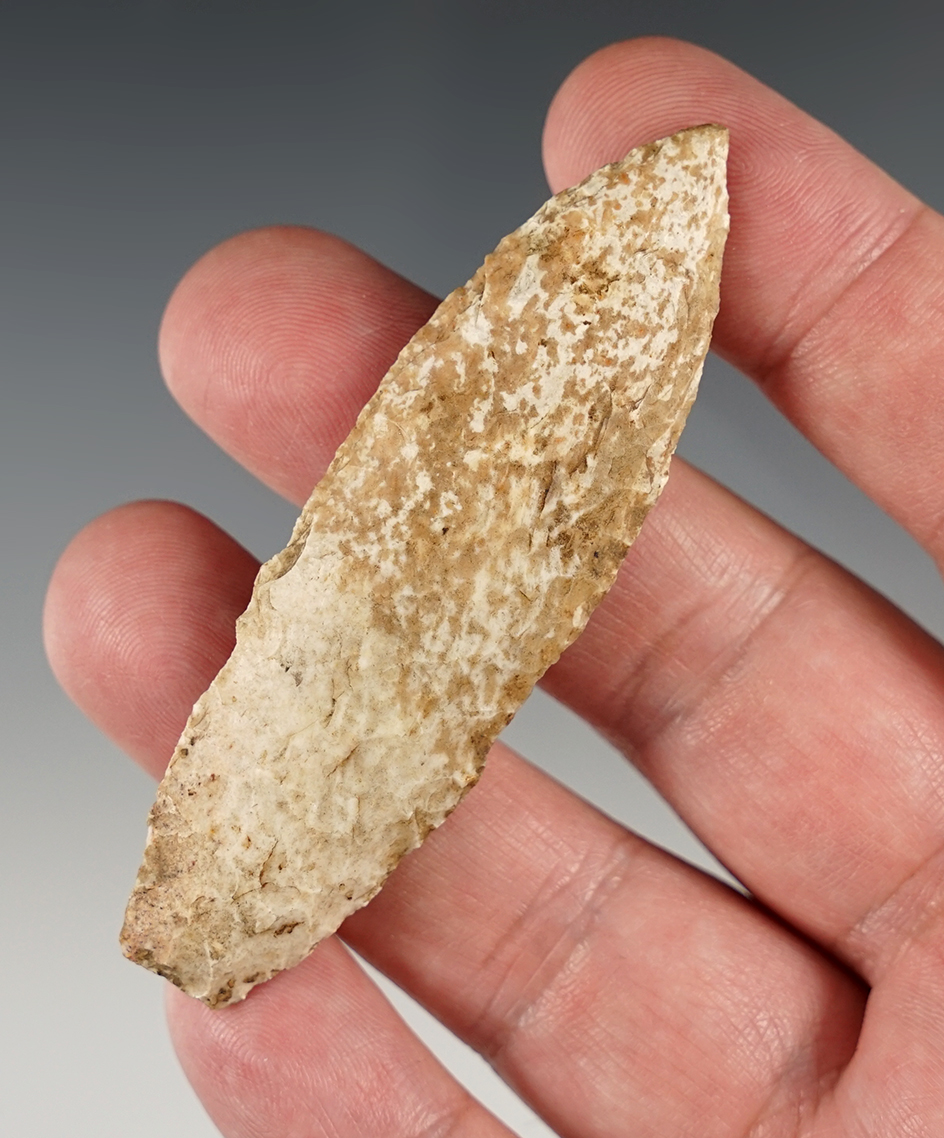 3" Angostura found in the Midwestern U.S. Butler COA.