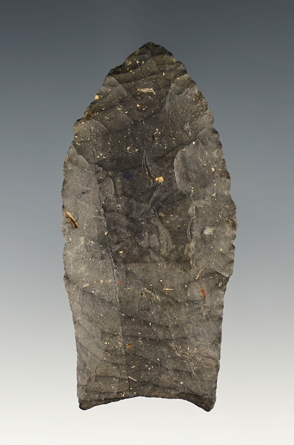 2 1/2" Paleo Stemmed Lanceolate - Holmes Co., Ohio.
