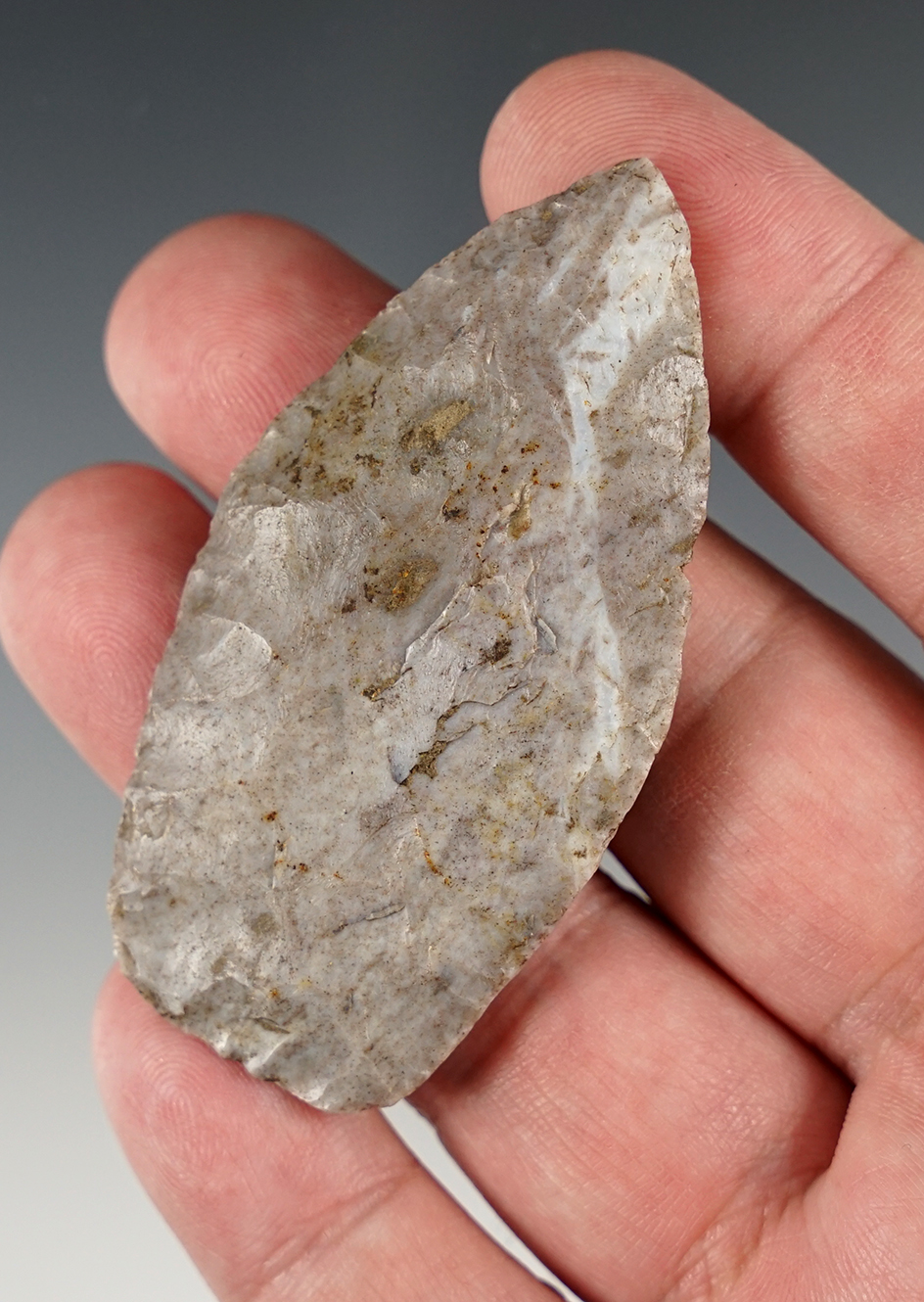 Finely made 2 5/8" Paleo Lanceolate.