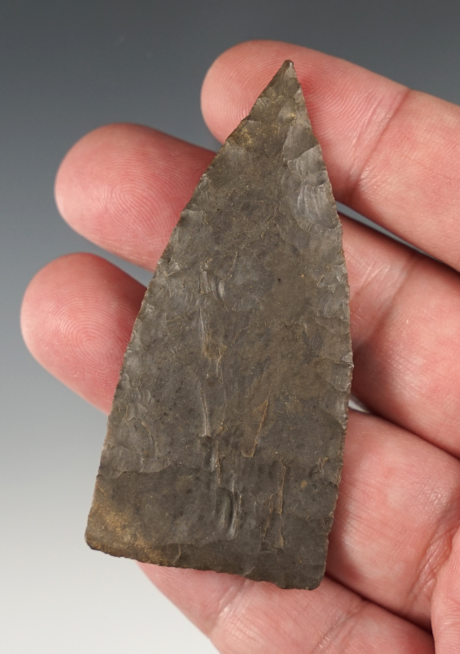 Thin and well flaked 2 7/8" Copena - Trigg Co., KY.