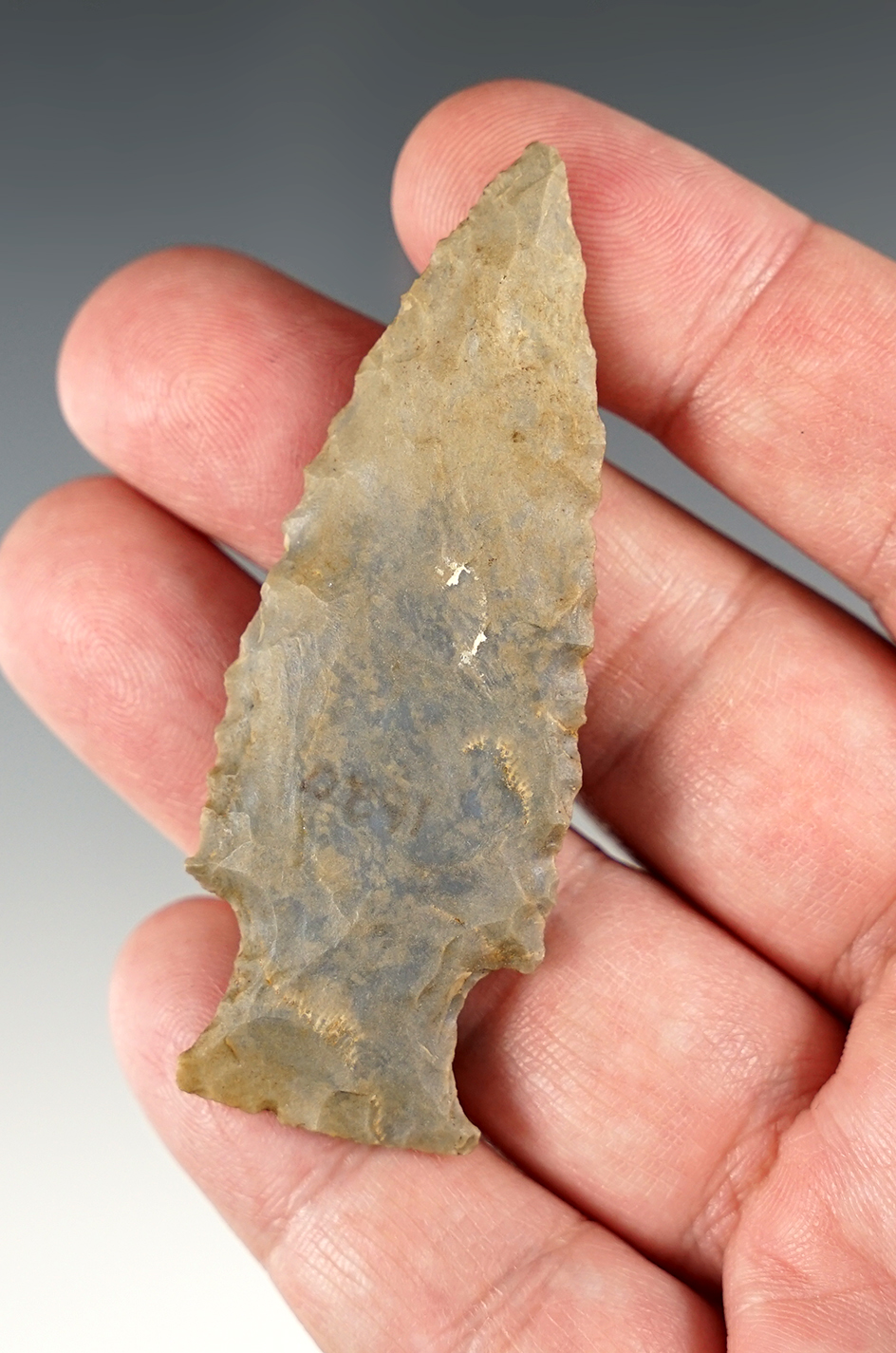 2 3/4" Stemmed Woodland Knife - Kentucky.