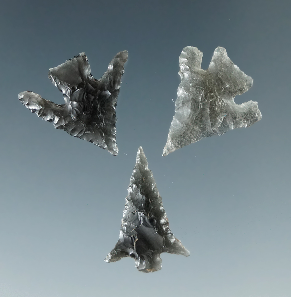 Set of three well flaked obsidian Gem points found near the Columbia River, largest is 5/8".