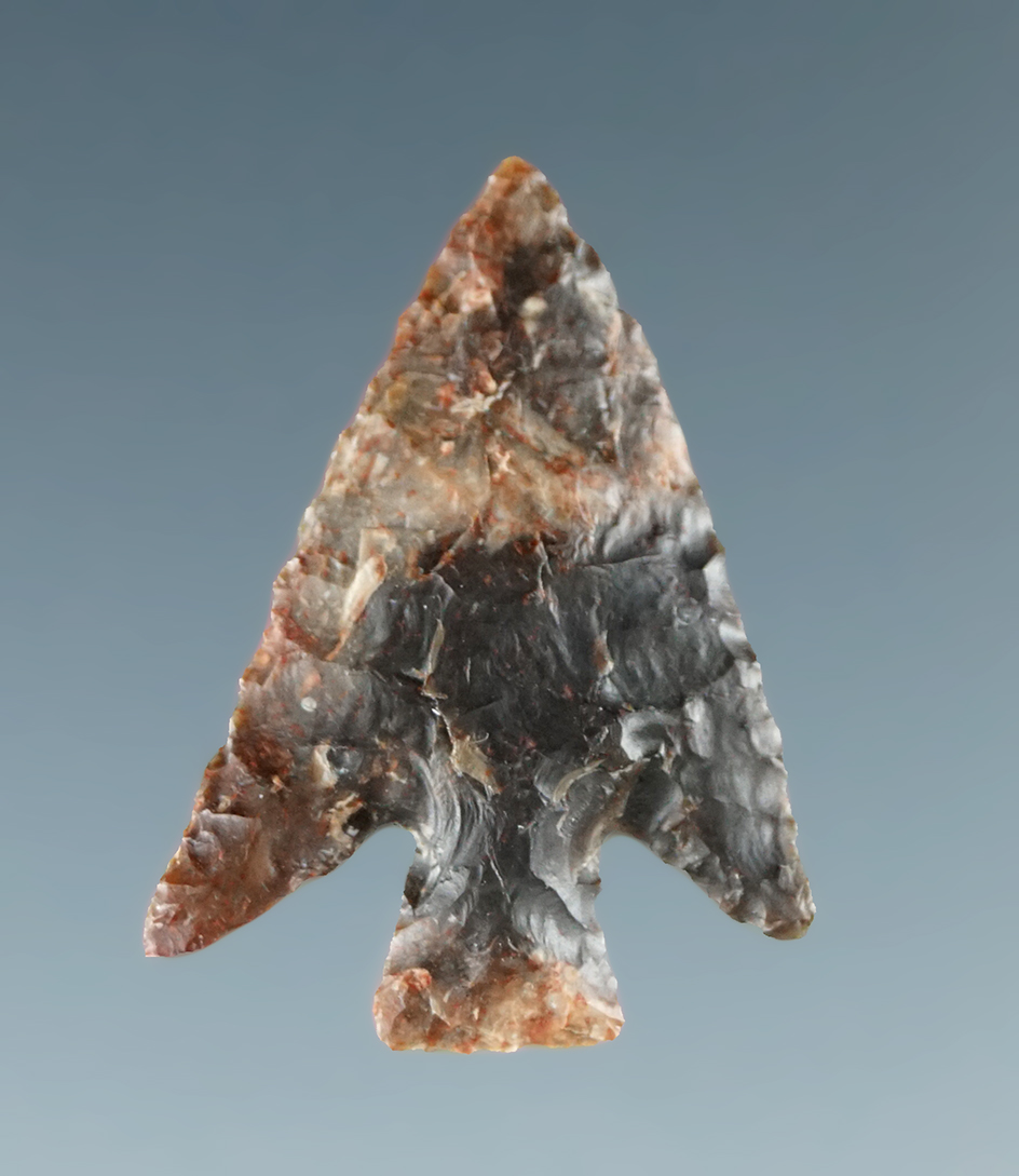 13/16" Columbia Plateau made from attractive material with nice flaking - Columbia River.