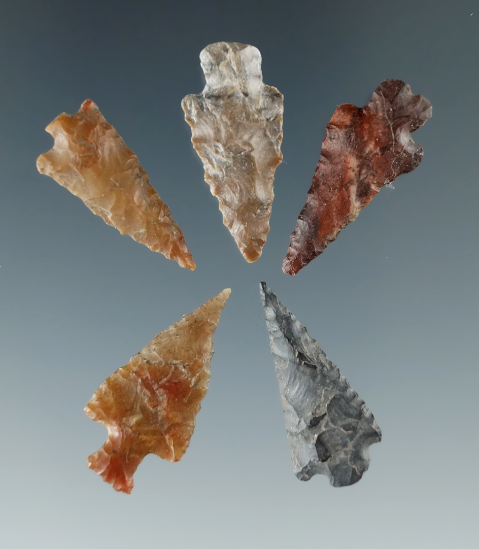 Set of five assorted Columbia River arrowheads, largest is 15/16".