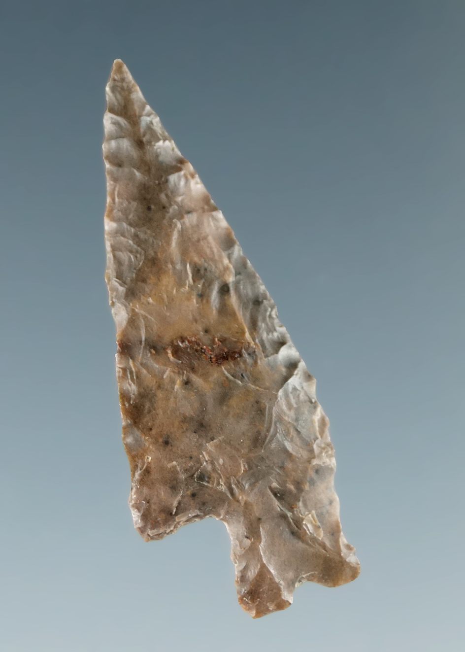 Uniquely resharpened or salvage Columbia Plateau that is 1 3/16" long found near the Columbia River.