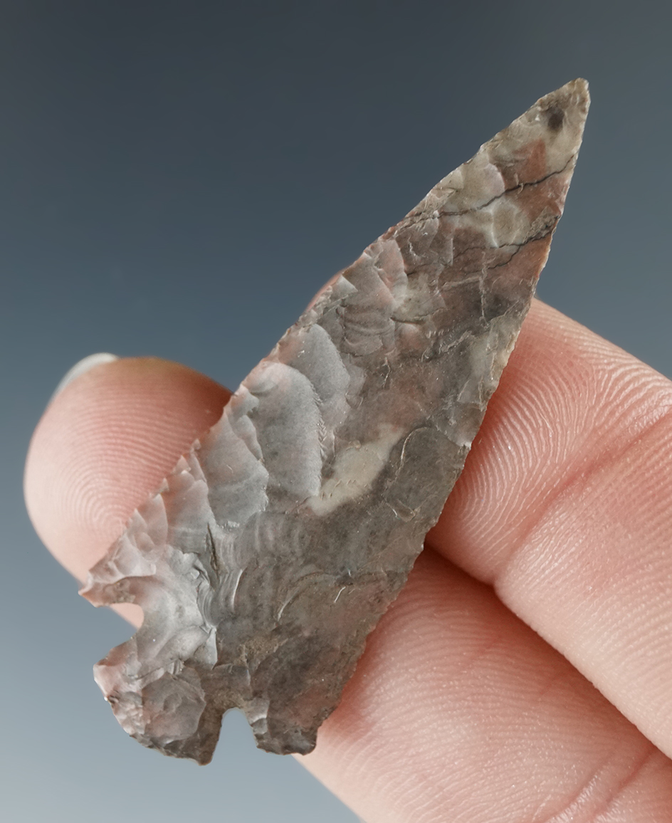 Excellent flaking on this colorful 1 7/8" Hells Canyon Cornernotch found near the Columbia River.