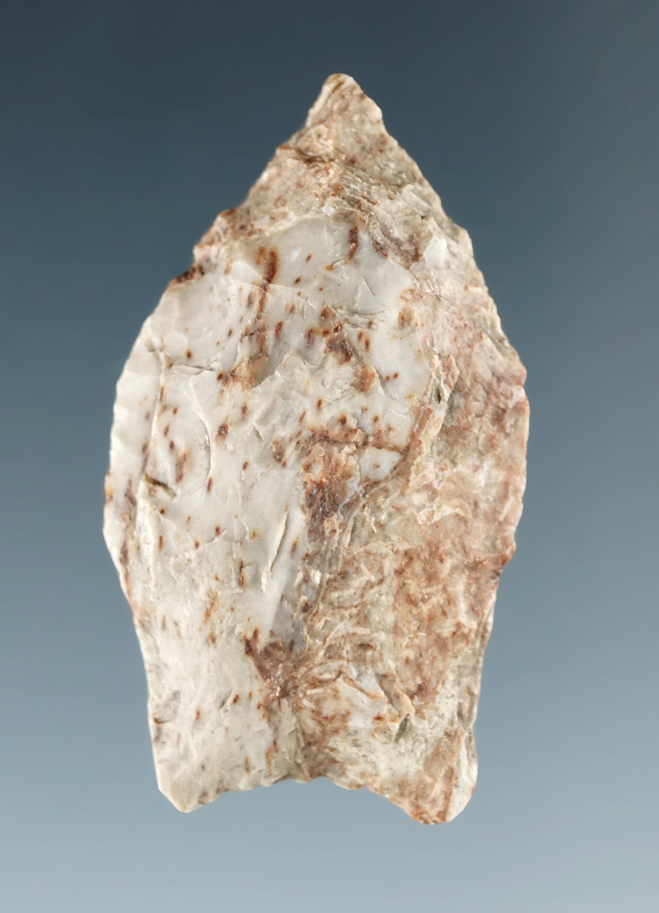 1 5/16" Paleo Spedis found near the Columbia River.