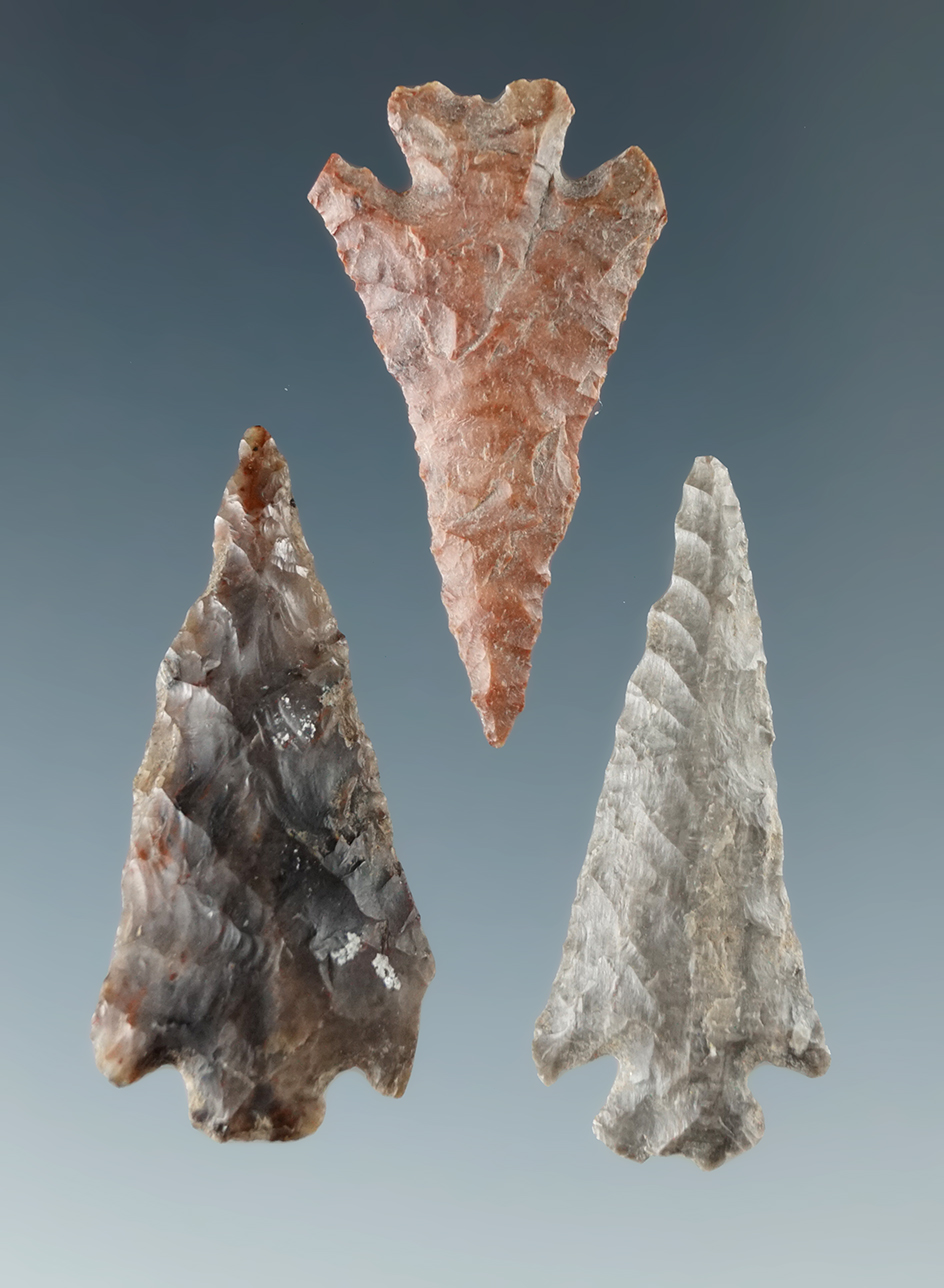Set of three Columbia Plateau points found near the Columbia River, largest is 1 1/8".