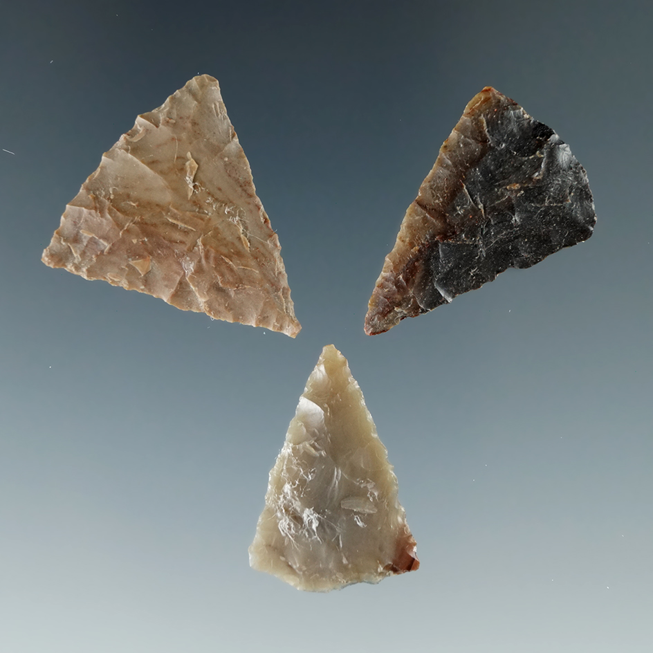 Set of three triangular points found near the Columbia River, largest is 1".