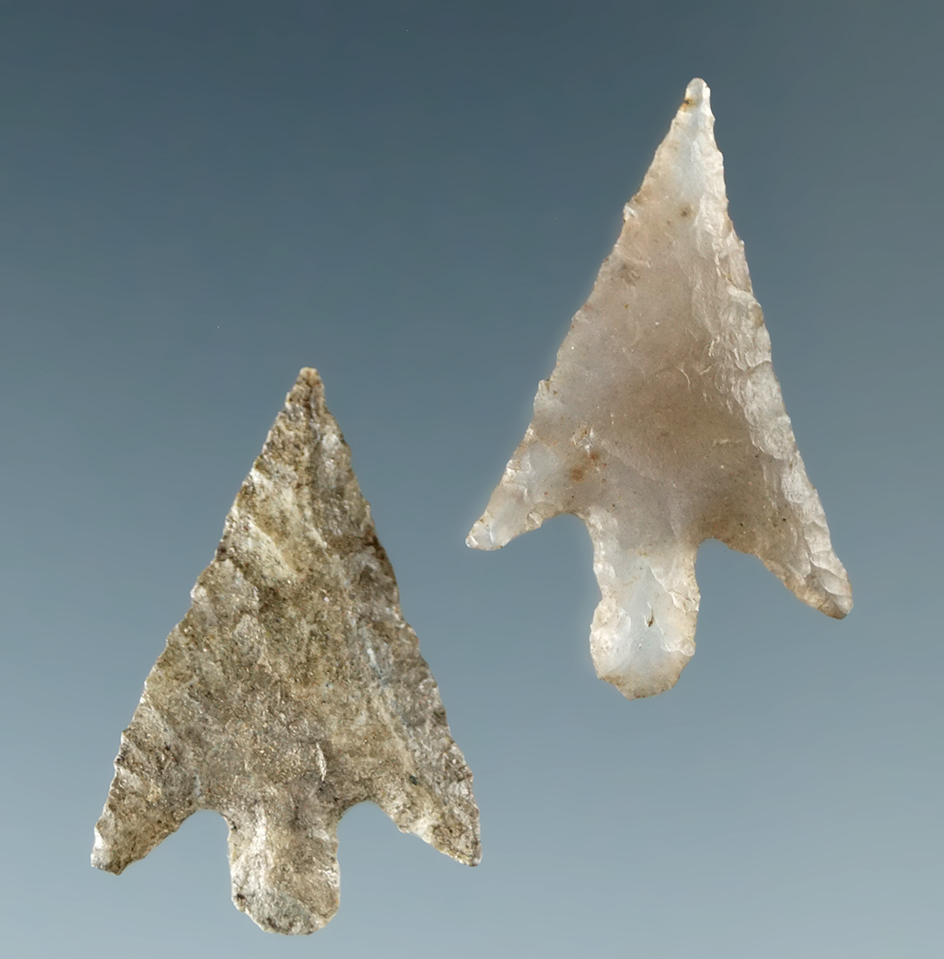 Pair of nicely flaked Columbia Plateau points, largest is 13/16".