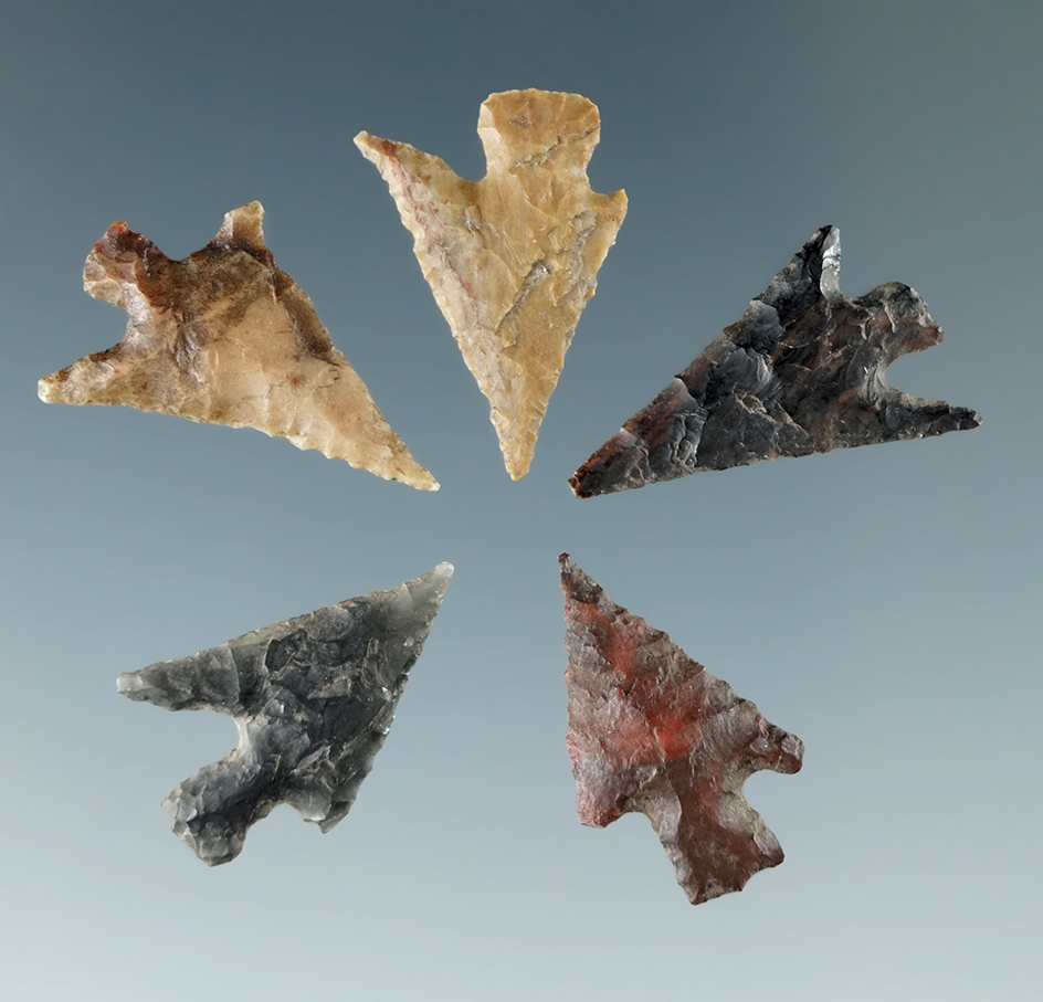 Set of five Columbia Plateau points found near the Columbia River, largest is 5/8".