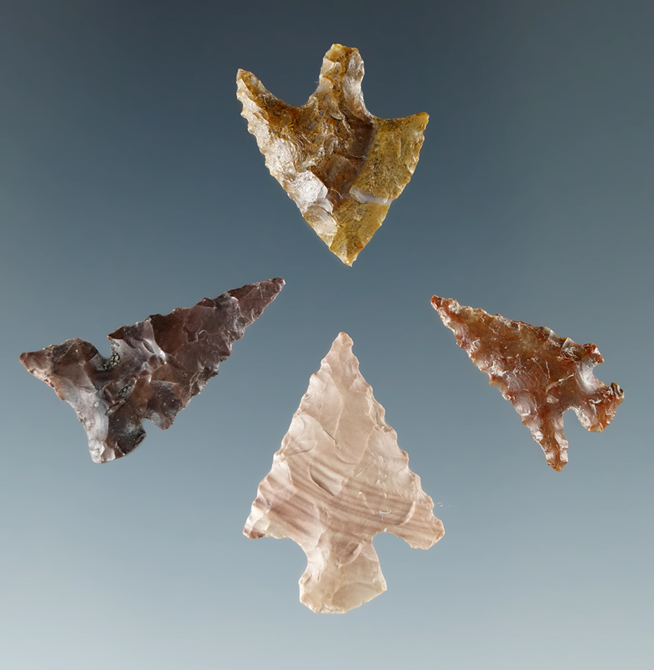 Set of four assorted Columbia River arrowheads, largest is 7/8".