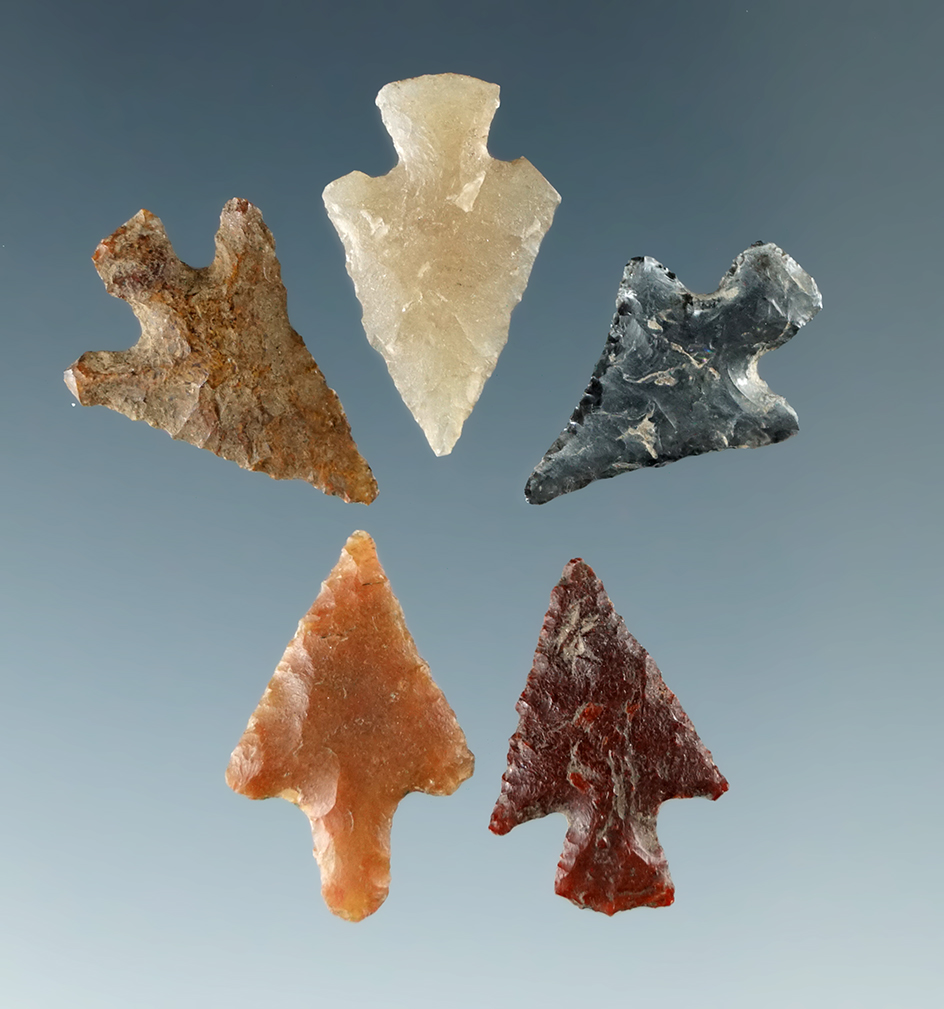 Set of five assorted Columbia River Gem points, all around 5/8" long.