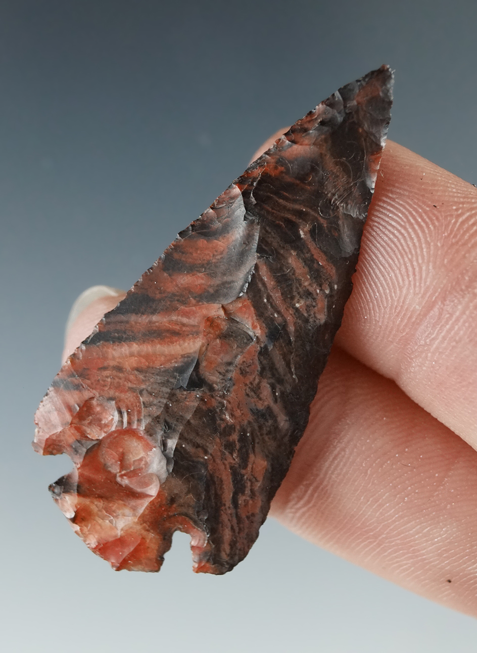 Incredible color 1 3/4" Cornernotch made from a flake of beautiful Flint. Multiple fire pops.