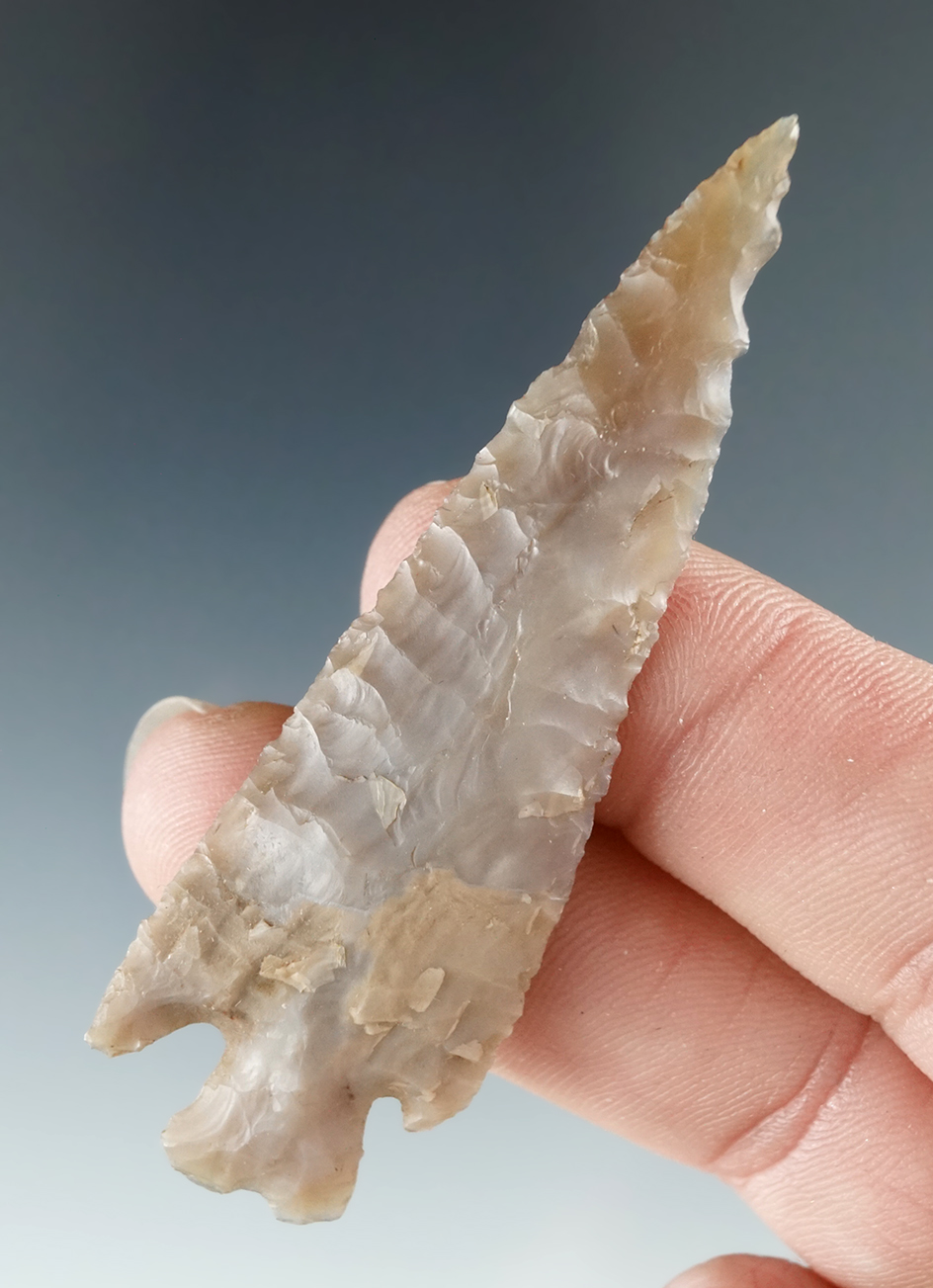 Large! 2 9/16" Snake River Cornernotch dart point found near the mid-Columbia River.