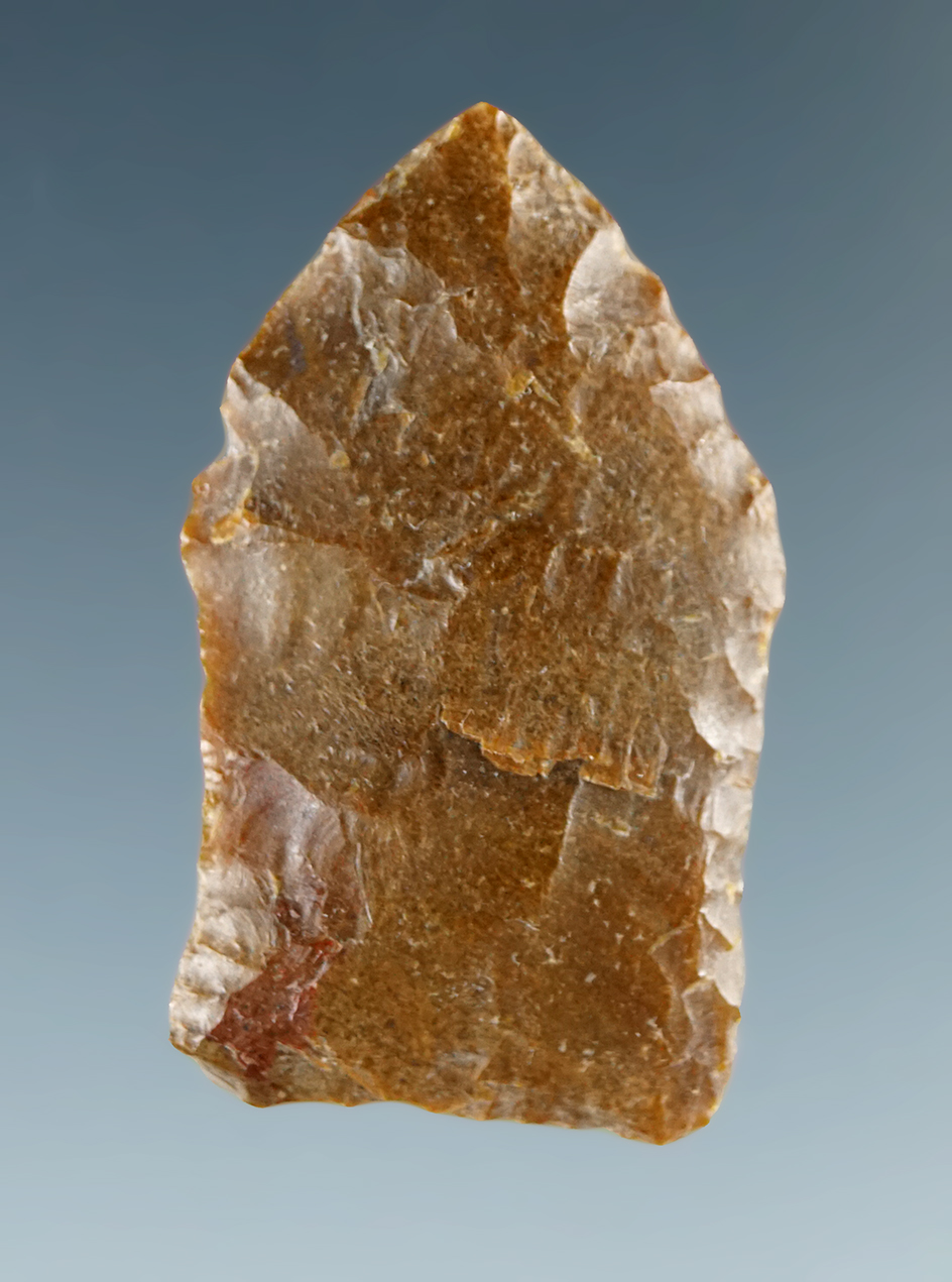 1 3/16" Paleo Spedis found near the Columbia River. Ex. Chuck Hall collection.