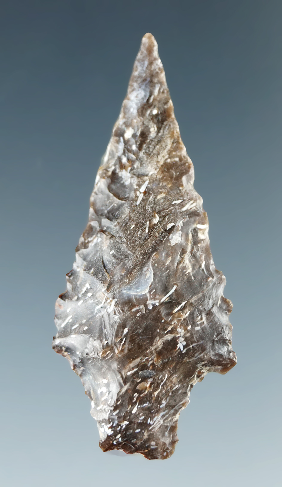 Nicely serrated 1 9/16" Rabbit Island dart point found near the Columbia River.