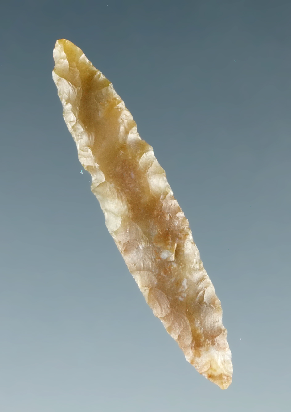 Rare! 1 1/8" agate  nose ornament found near the Columbia River.