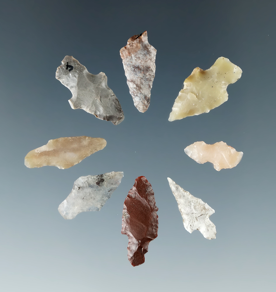 Set of eight small Columbia River arrowheads, largest is 11/16".