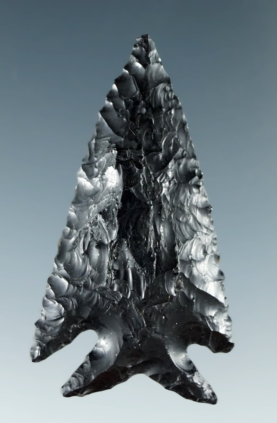 Well styled 1 11/16" Elko Eared found in Lake County Oregon.