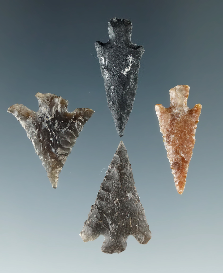 Set of four Columbia River Gem points, largest is 1".