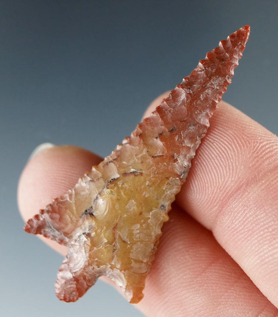 Large and nice! 1 7/8" well flaked and nicely styled Rabbit Island made from yellow and red Jasper.