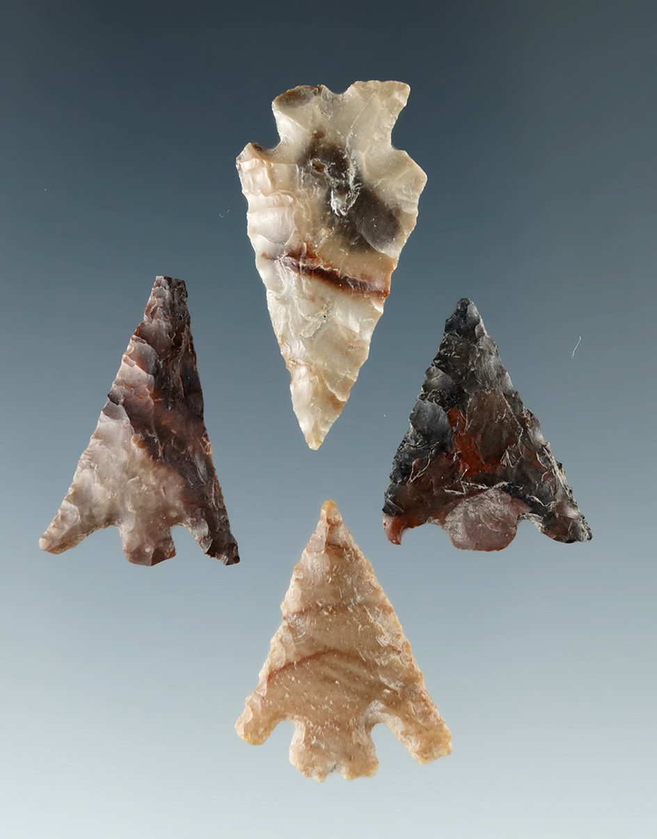 Set of four Columbia River arrowheads, largest is 1 1/16".