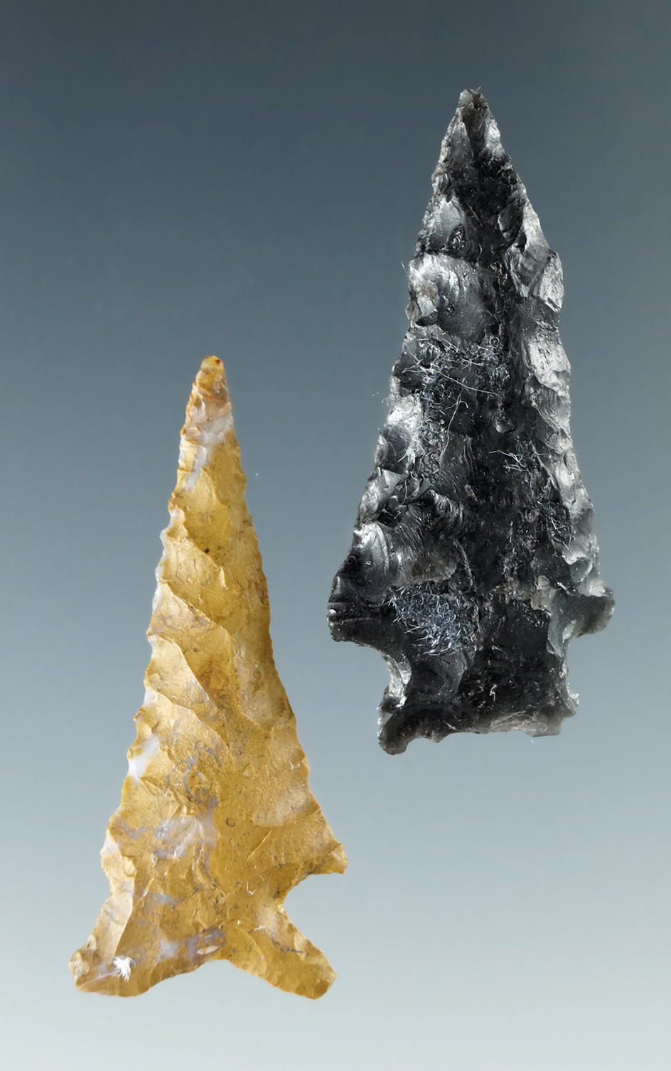 Pair of Columbia River arrowheads, largest is 1 3/8".