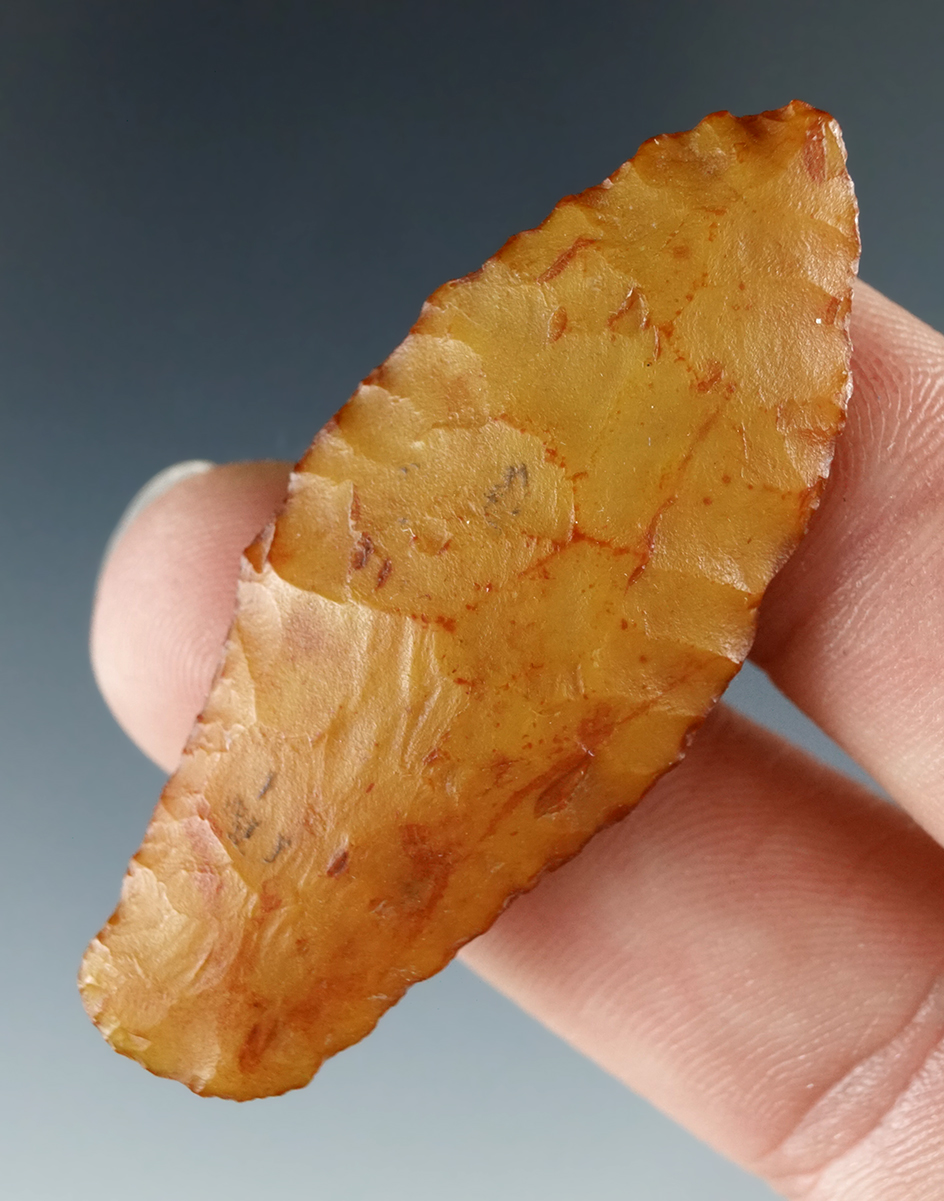 Sale highlight! Simply incredible 2" Paleo Cougar Mountain found in 1953 in Lake County Oregon.