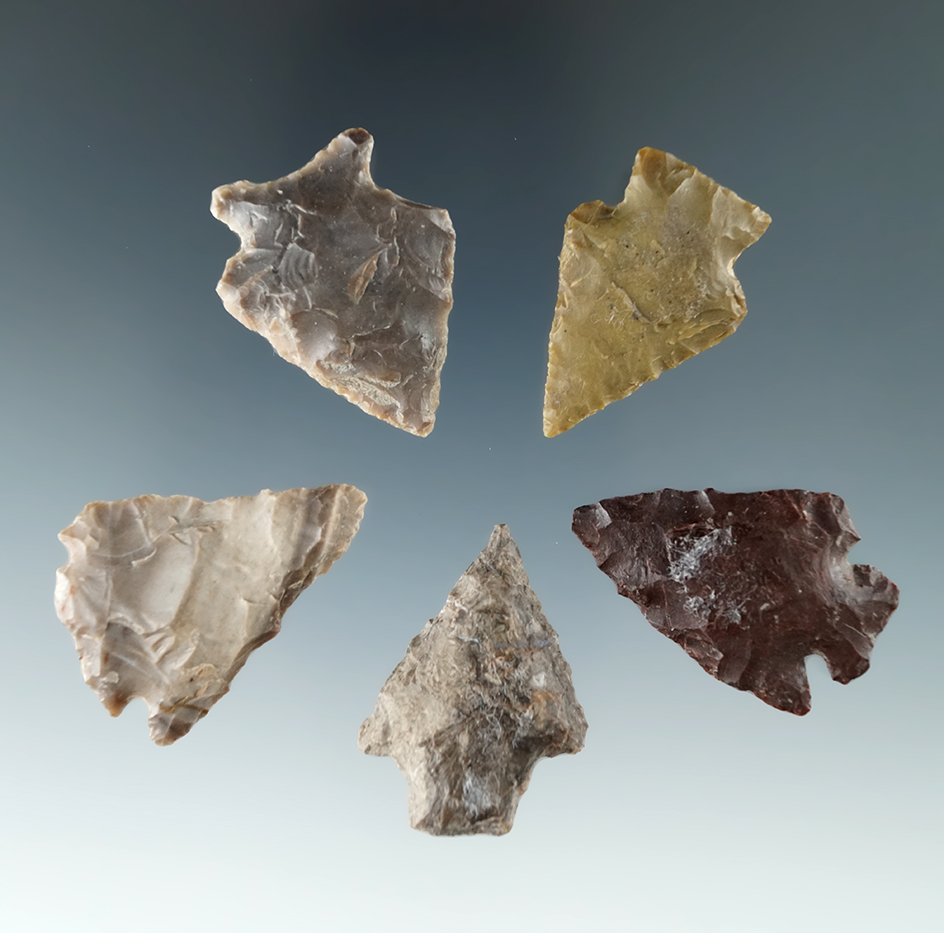 Set of five assorted Columbia River arrowheads, largest is 1 5/16".