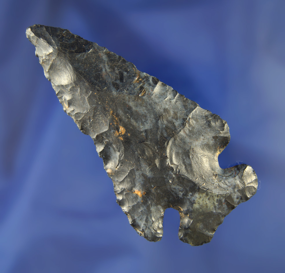 3 3/16" Coshocton Flint Archaic Thebes Bevel found in Paulding Co.,  Ohio.