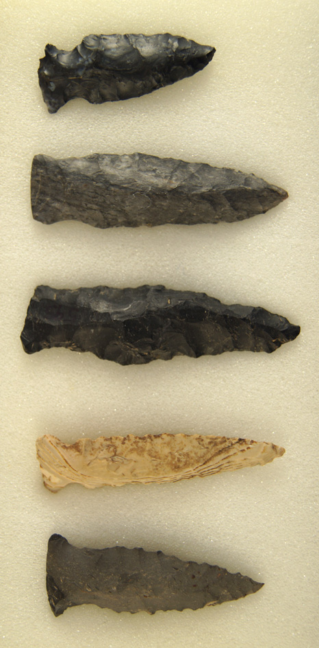 Nice set of five Fishspear points found in Ohio, largest is 2 9/16".