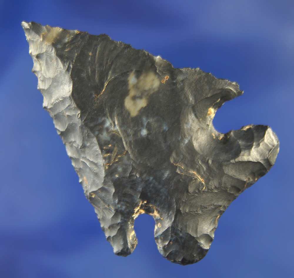 2 1/4" Coshocton Flint Archaic Thebes Bevel found in Perry Co.,  Ohio.