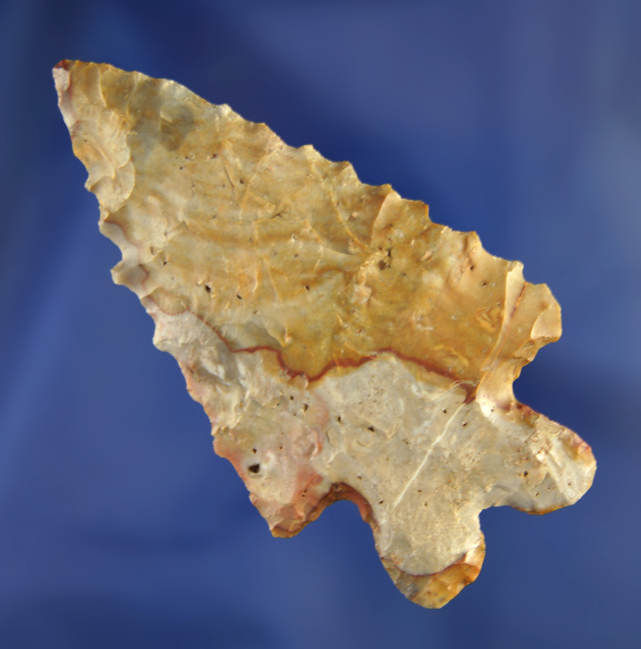 2 7/8" Highly Colored Archaic Bifurcate found in Crawford Co., Ohio.