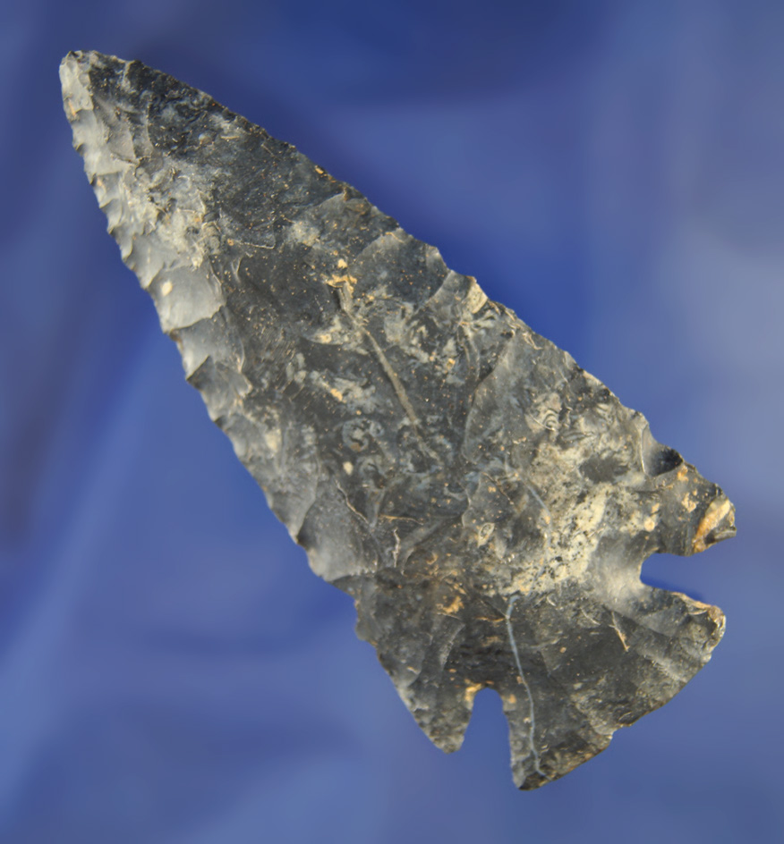 3 3/4" Coshocton Notched Base Dovetail.  Caldwell Ohio.