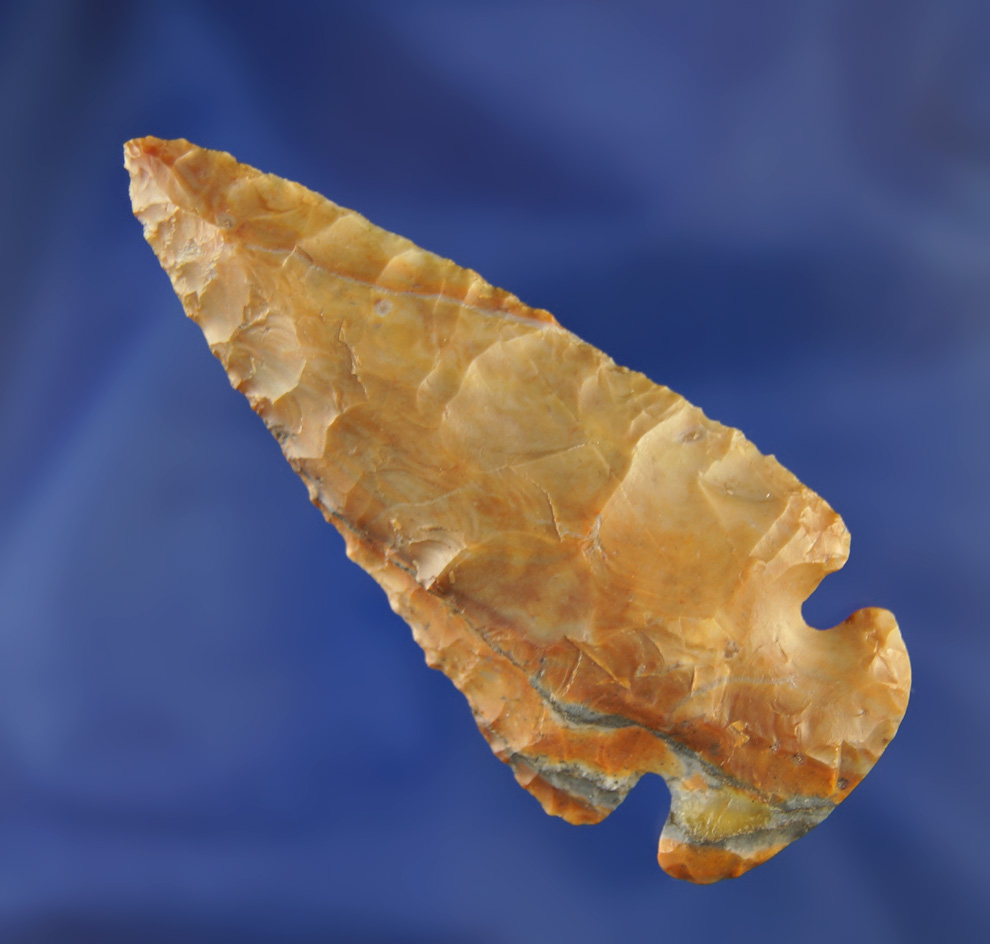 2 3/4" Highly Colored Flint Ridge Dovetail found in Champaign Co., Ohio.