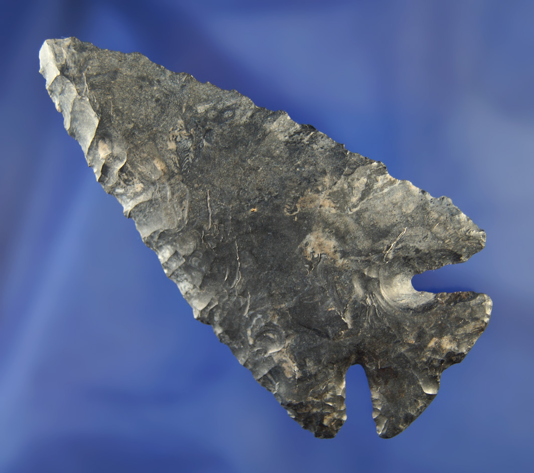 3 3/16" Notched Base Dovetail found in Franklin Co., Ohio.