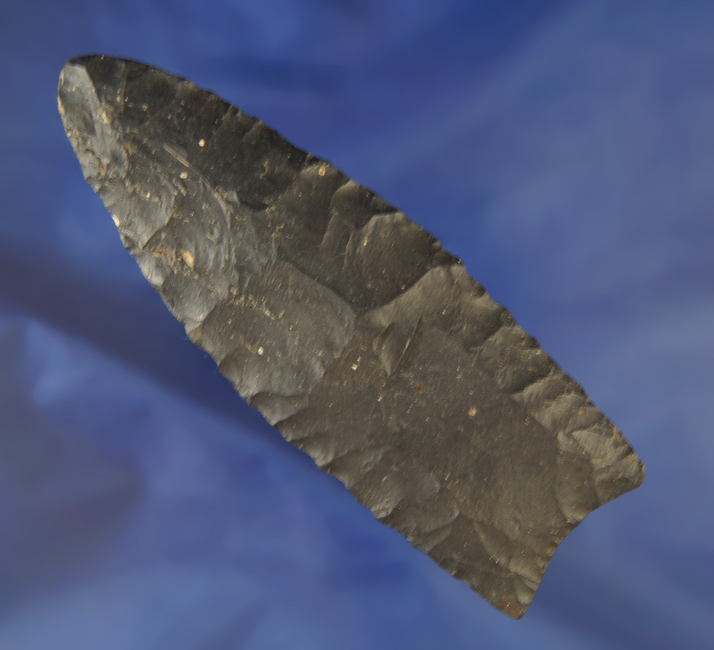 4 1/4" Coshocton Flint Paleo Clovis found in Licking Co., Ohio. Comes with a Jackson COA.