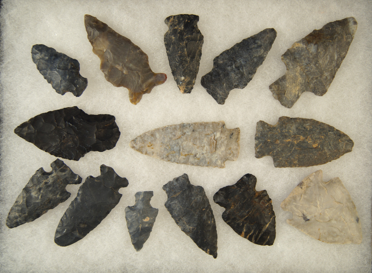 Group of 13 Ohio Coshocton Flint points, largest is 2 3/8".