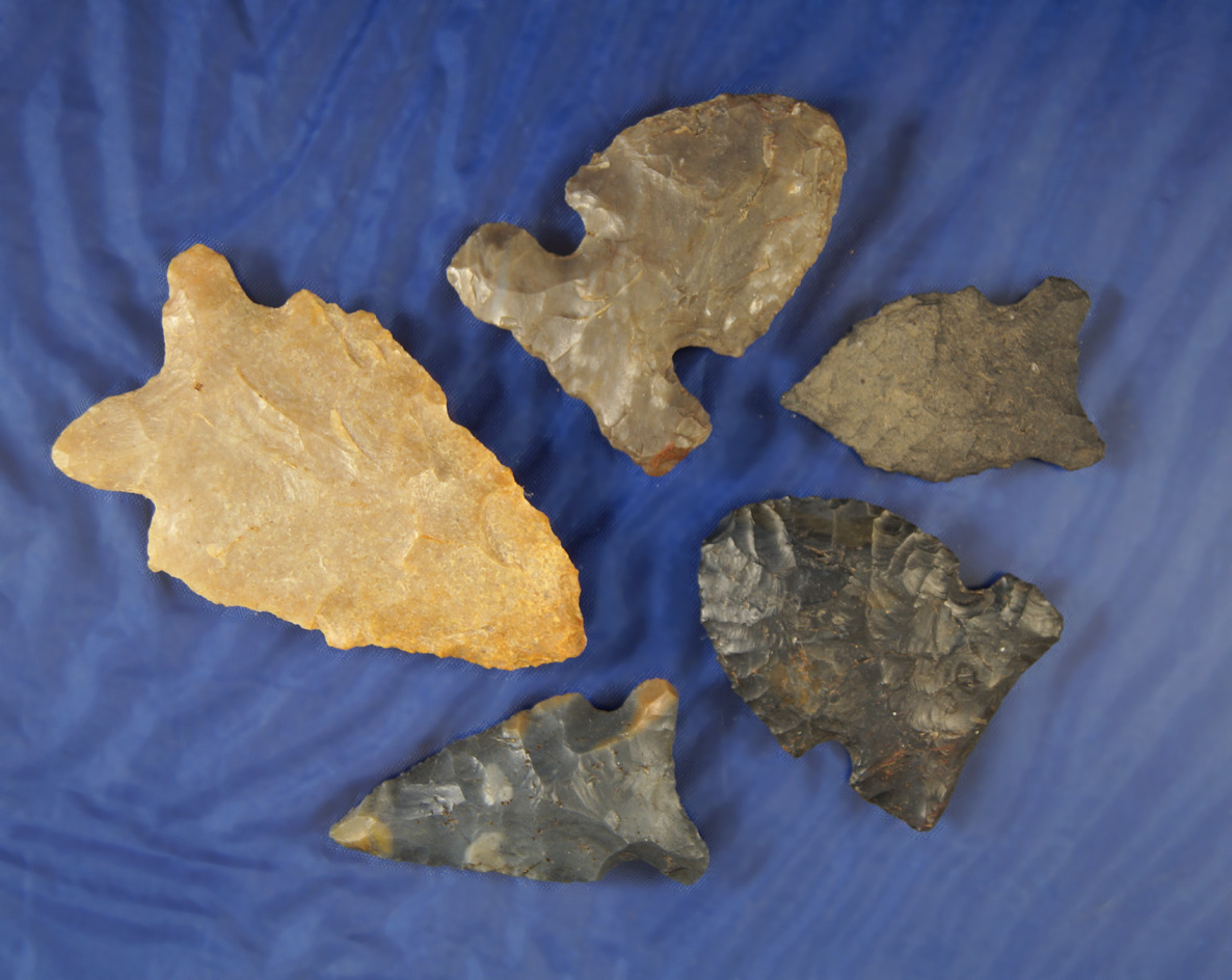 Set of five assorted Ohio arrowheads, largest is 2 9/16".