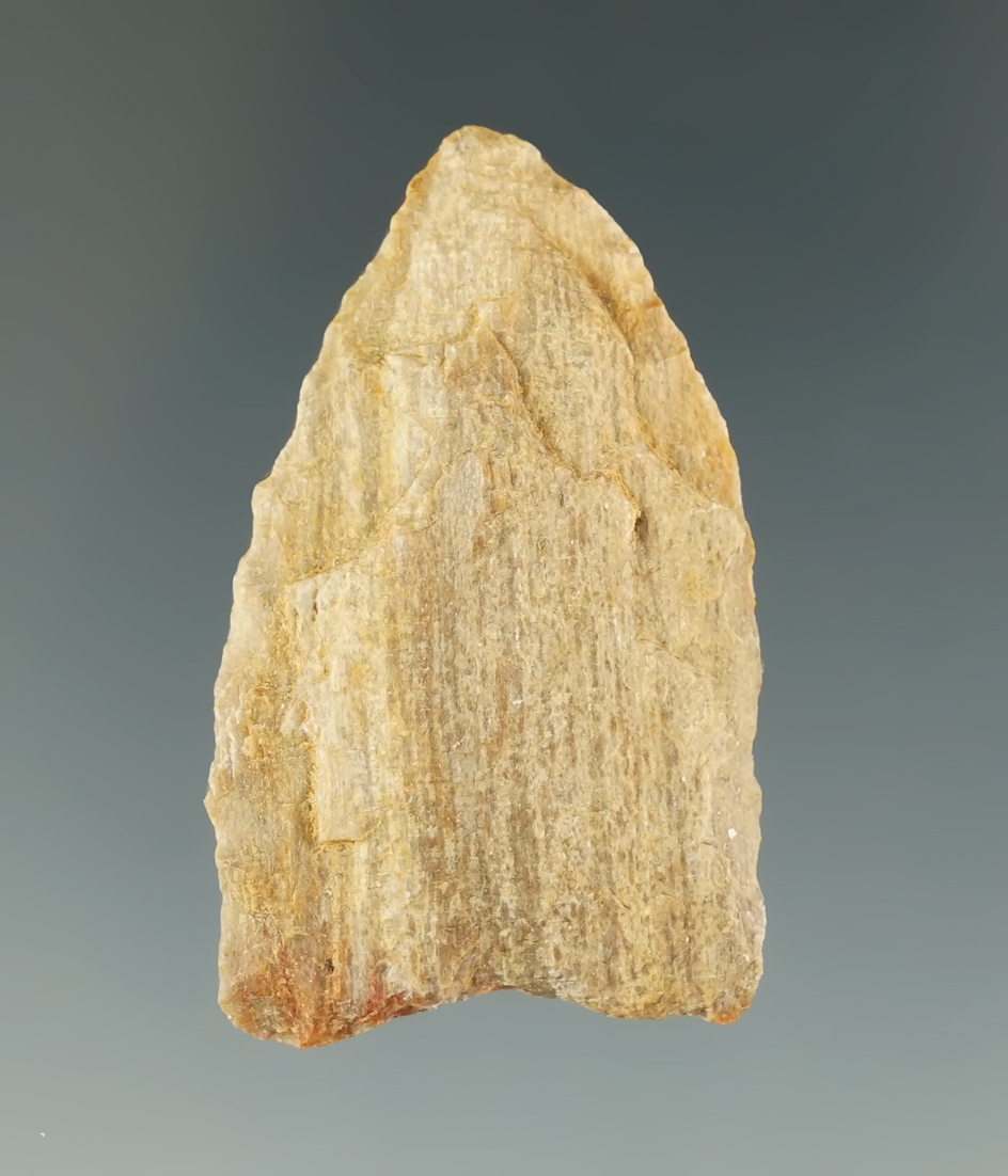 1 9/16" San Patrice made from Petrified Wood, Limestone Co., Texas. Ex. Allen Copley. COA.