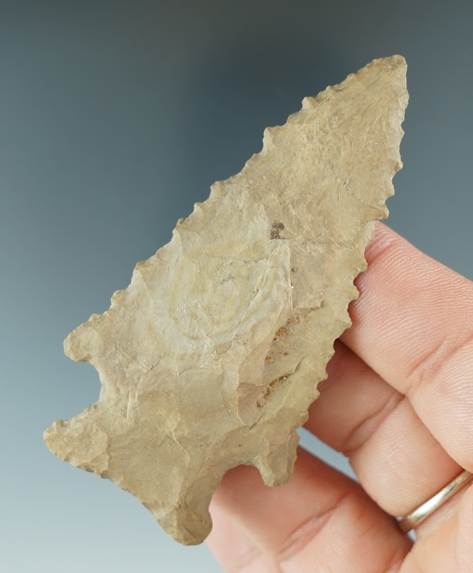 3" Hardin Knobbed found in Tennessee. Comes with a Rogers COA.