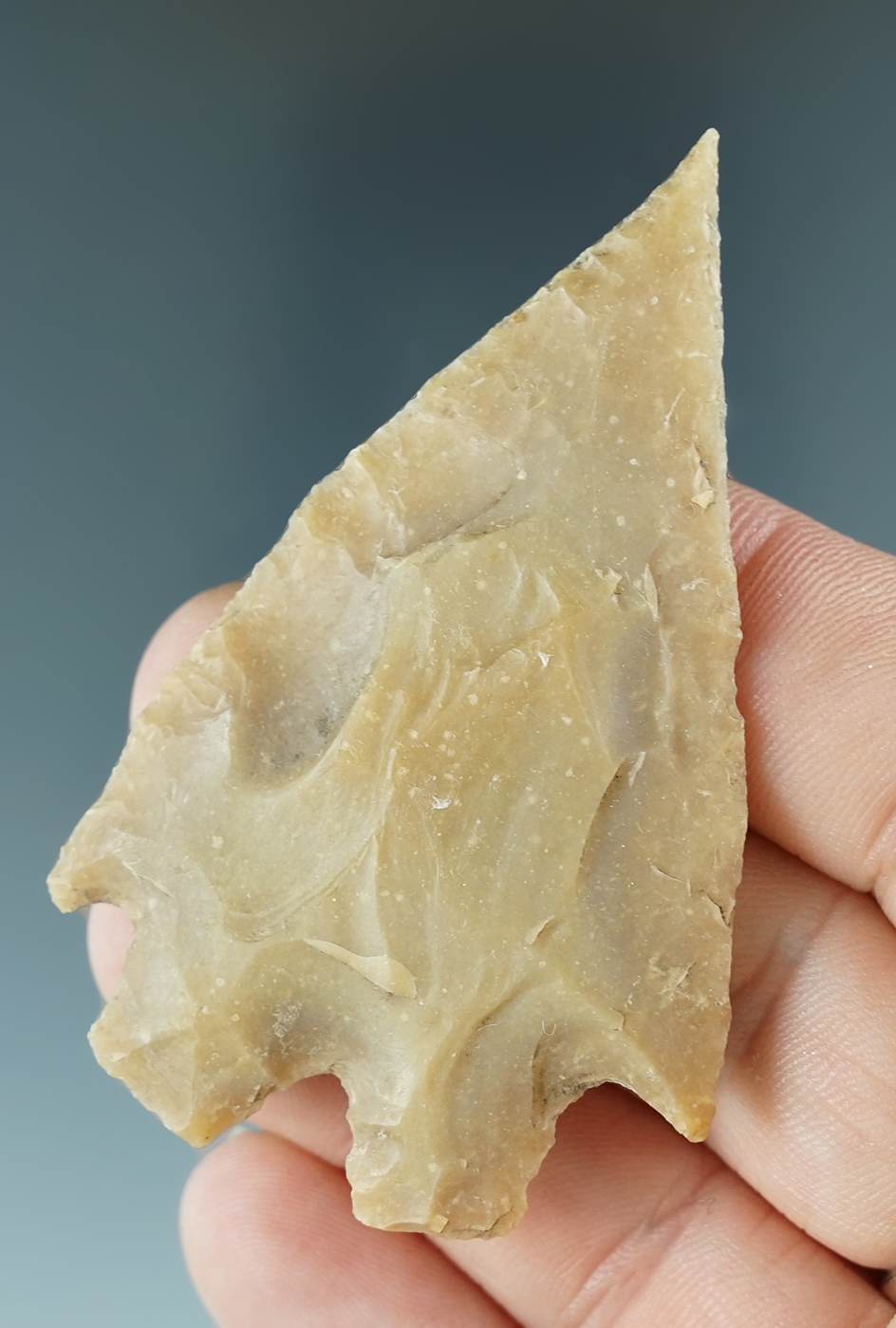 2 1/2" Montell found in Kendall Co., Texas. Comes with a Rogers COA.