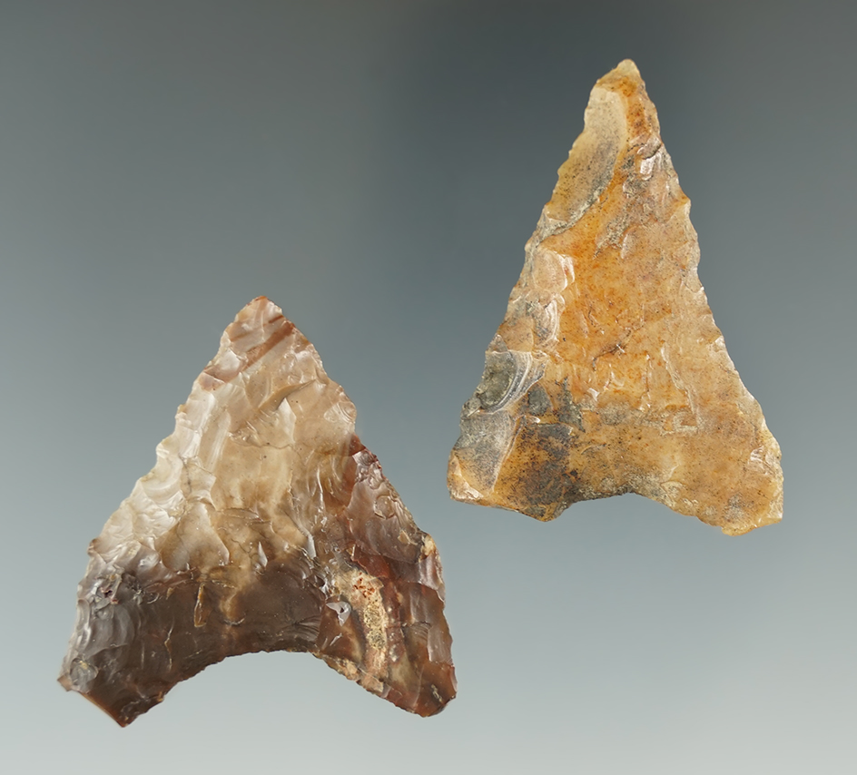 Pair of Mule Ear Knives found near the Columbia River, largest is 1 7/8".