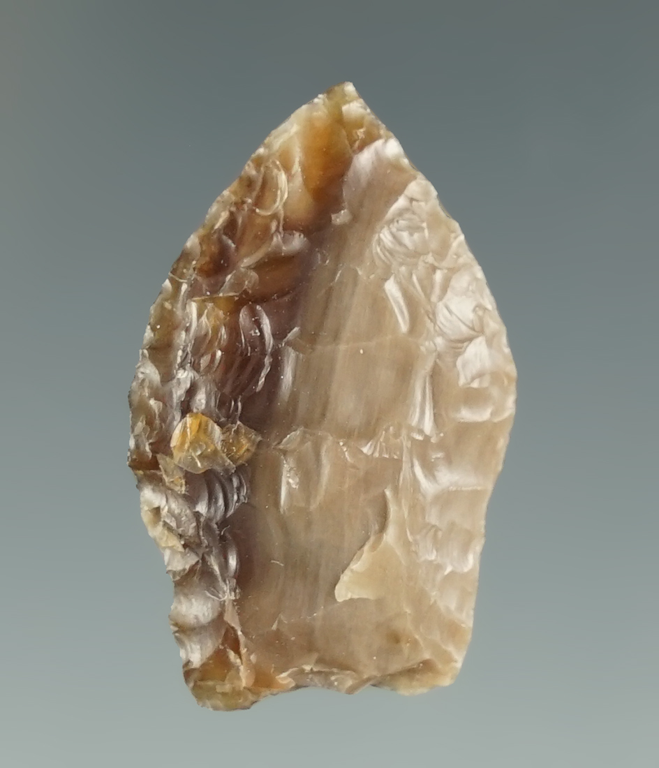 1 1/8" Paleo Spedis made from Petrified Wood. Found along the Mid Columbia River.