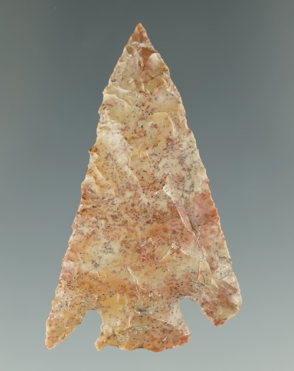 1 13/16" Snake River Cornernotch with nice flaking, found in Oregon. Ex. Charles Hall.