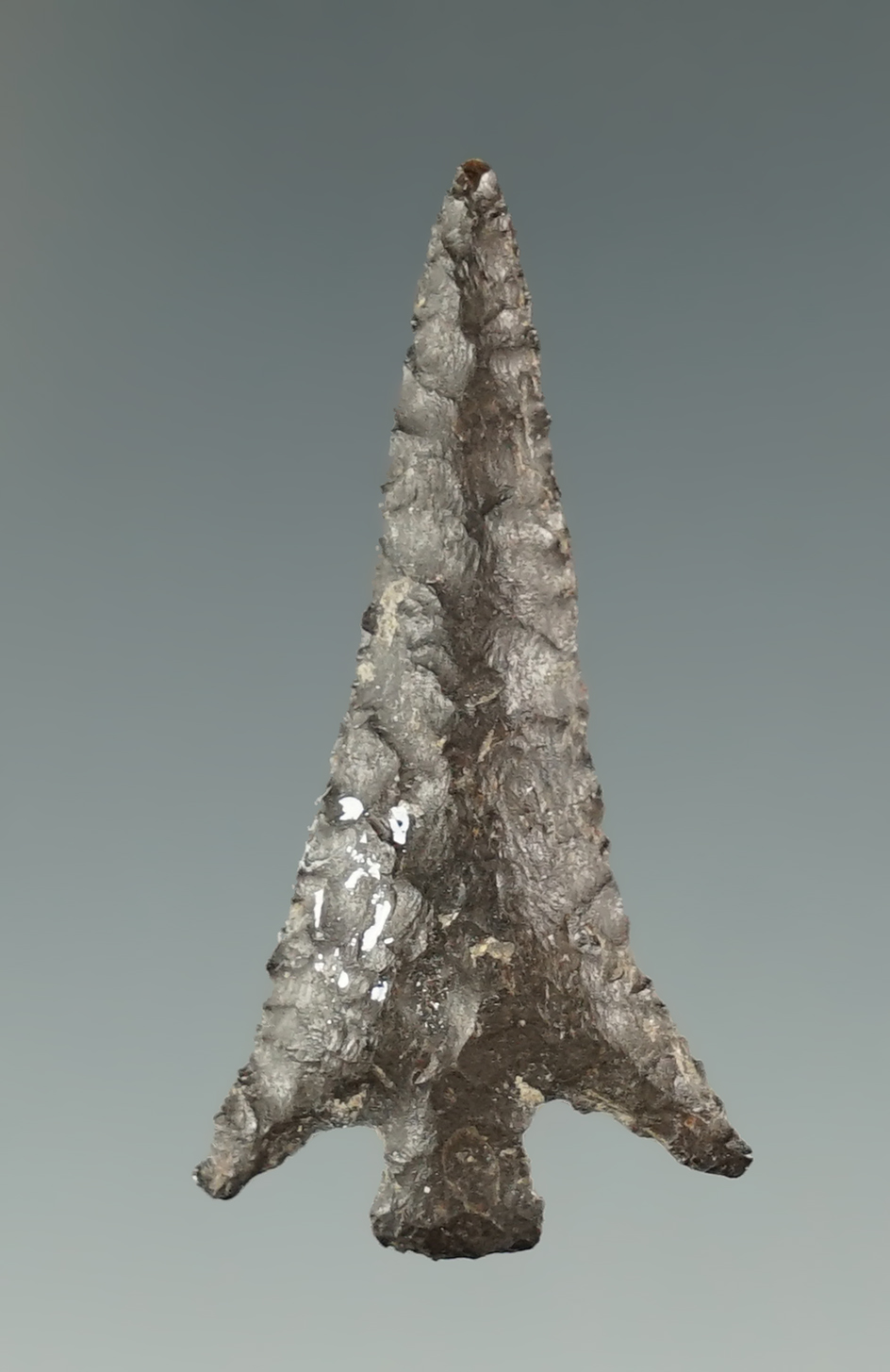 Excellent style and flaking on this 1 7/16" Columbia Plateau found near the Columbia River.