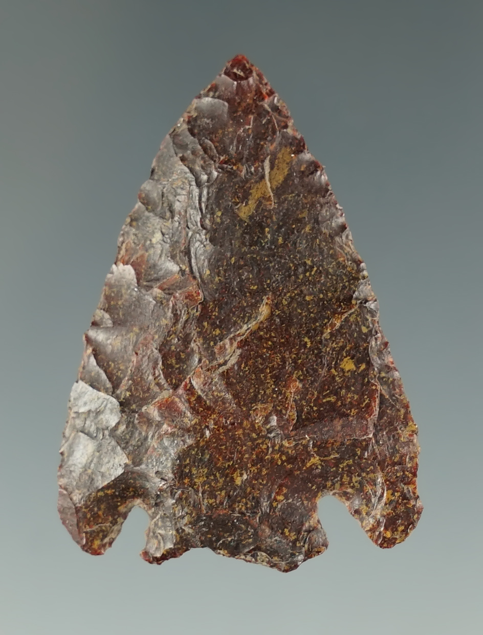 Excellent style in flaking on this 1 9/16" Quilomene Bar found in Oregon. Ex. Charles Hall.